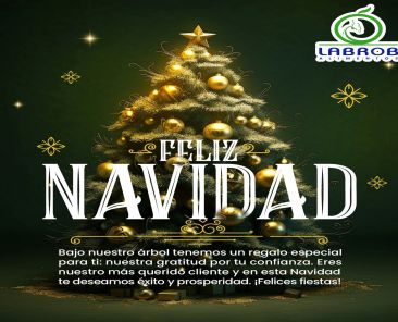 413978695_685979383678161_677788222372536628_na