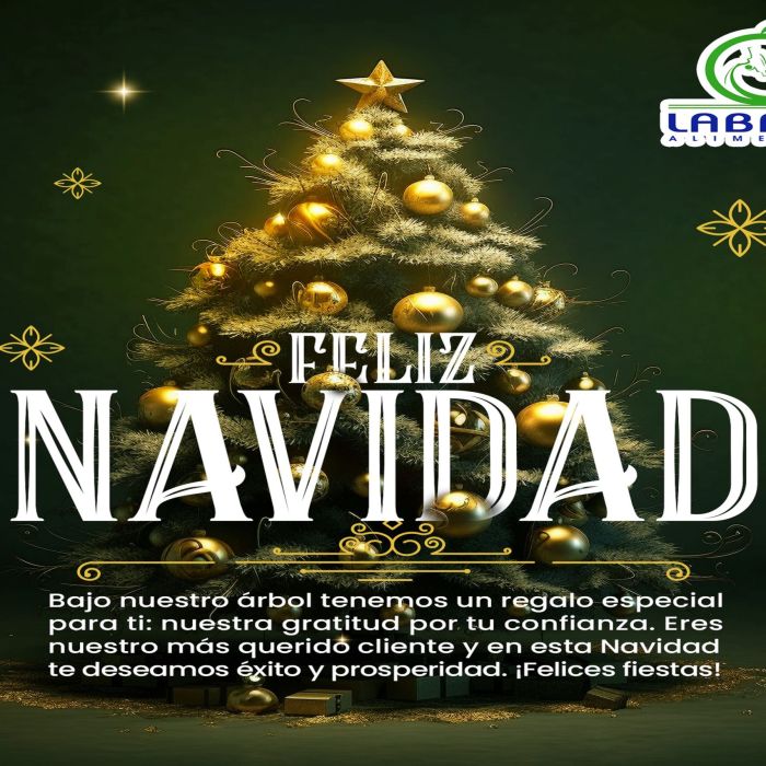 413978695_685979383678161_677788222372536628_na